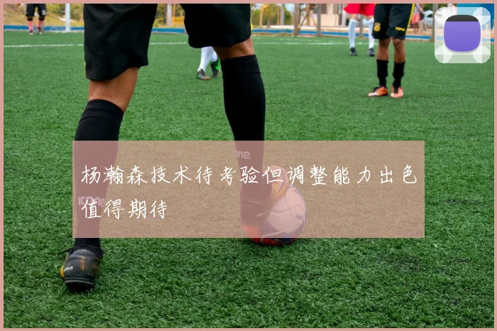 杨瀚森技术待考验但调整能力出色值得期待