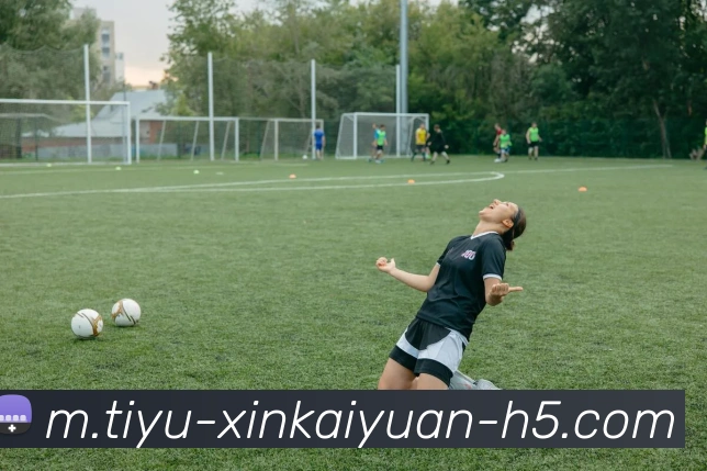 开元体育APP 封面图